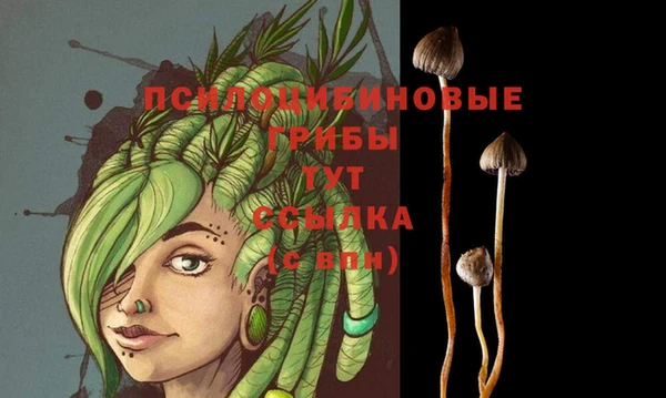соль курить ск Мегион