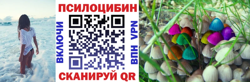 Псилоцибиновые грибы мицелий  Нестеровская 
